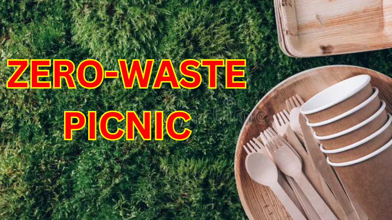 How to Have a Zero-Waste Picnic | Friendly Tips for Outdoor Fun